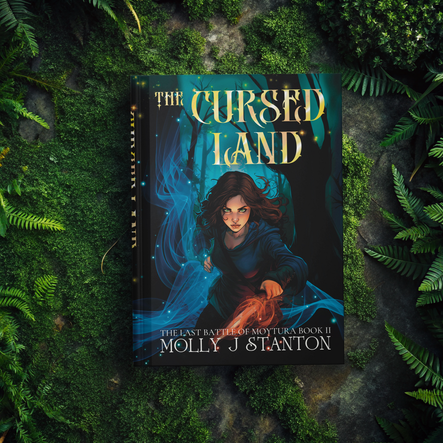 The Cursed Land, Illustrated Edition (Book 2)