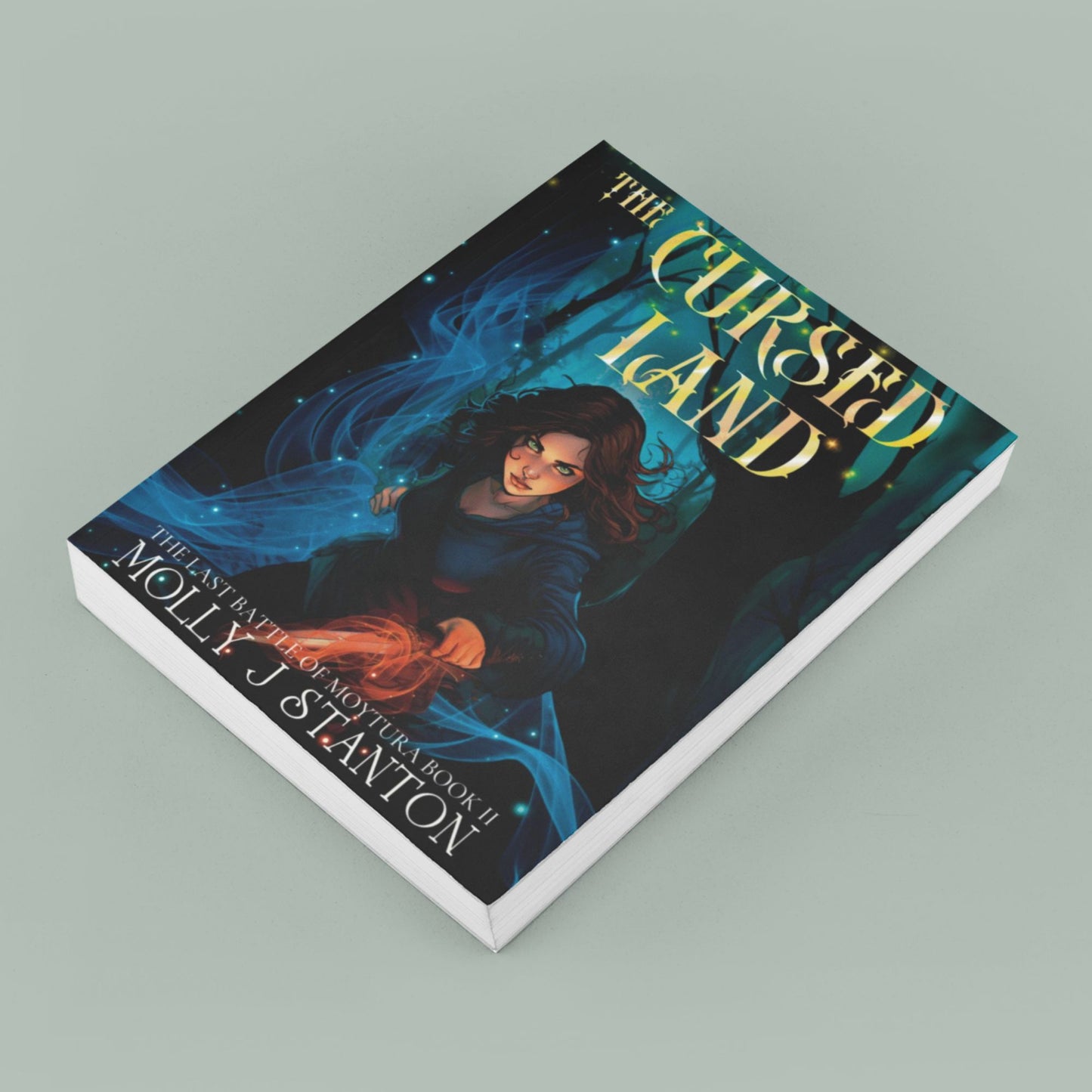 The Cursed Land, Illustrated Edition (Book 2)